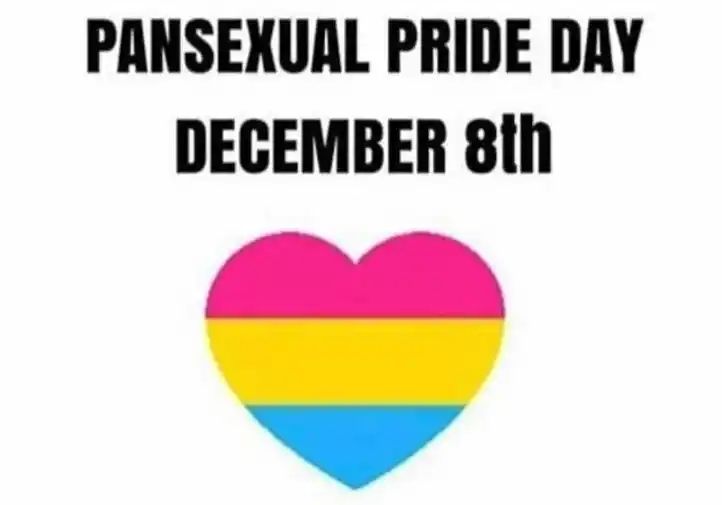 Text: Pansexual Pride Day December 8th.
Image is a heart with pink, yellow, then blue stripes.