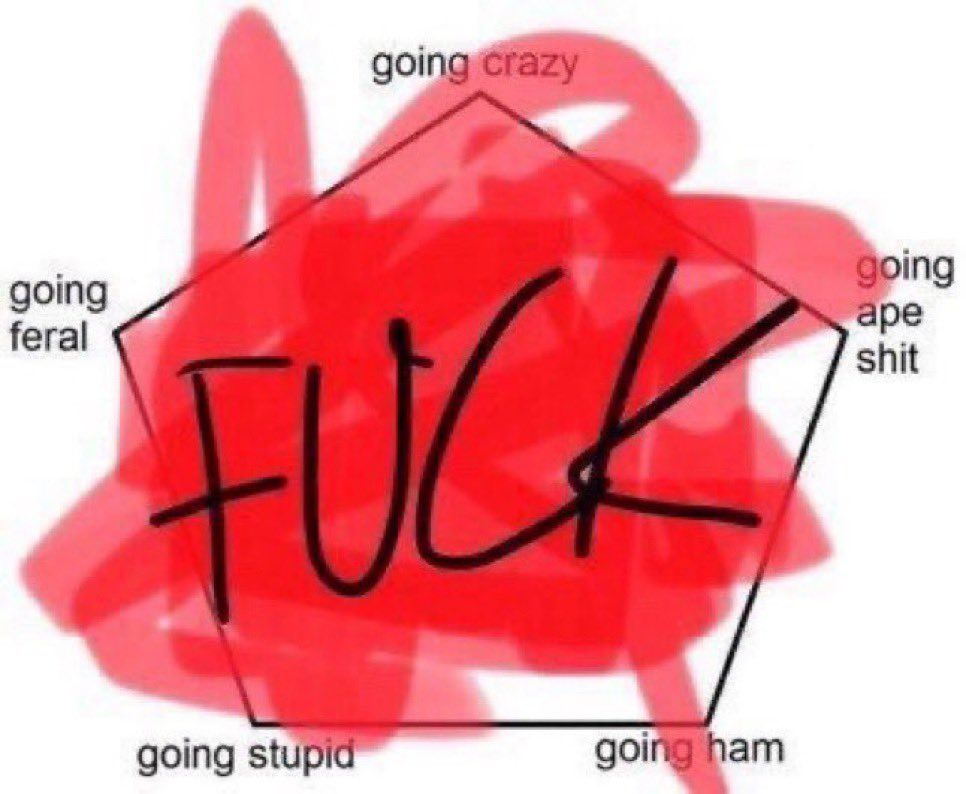 A pentagon where each angle has a label: going feral, going crazy, going ape shit, going stupid, going ham. The entire thing is scribbled in red, with a big FUCK written in black over it.