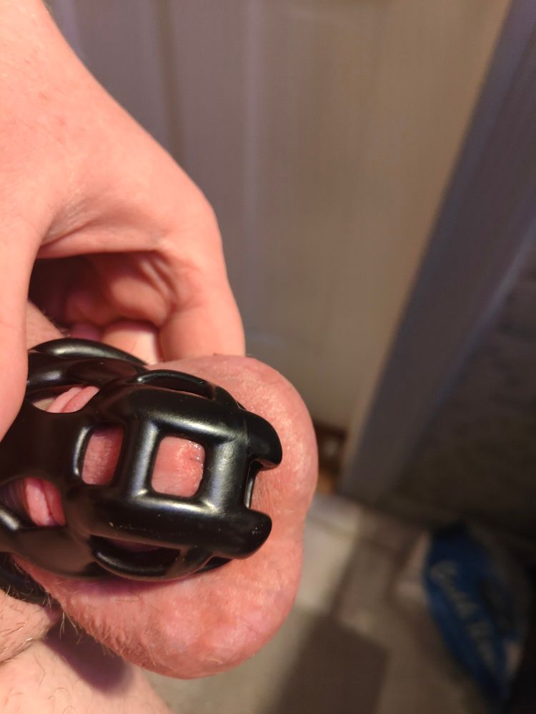 My gock in a chastity cage with a little bit of pre leaking out 