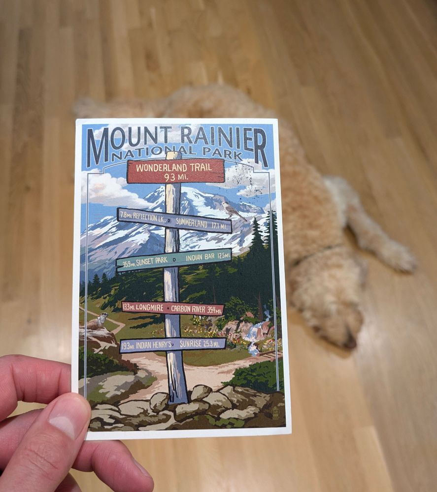 Postcard held in front of a fluffy dog. It's from Mount Rainier National Park 
