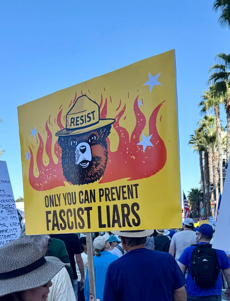 Smokey Bear inspired sign - 
"Only you can prevent fascist liars"