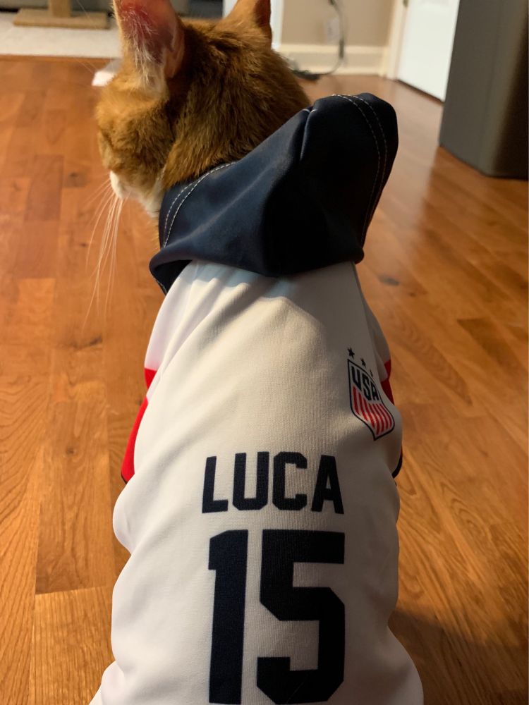 Cat in USWNT jersey