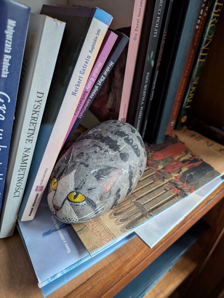 Коцік-каменьчык з жоўтымі вочкамі.