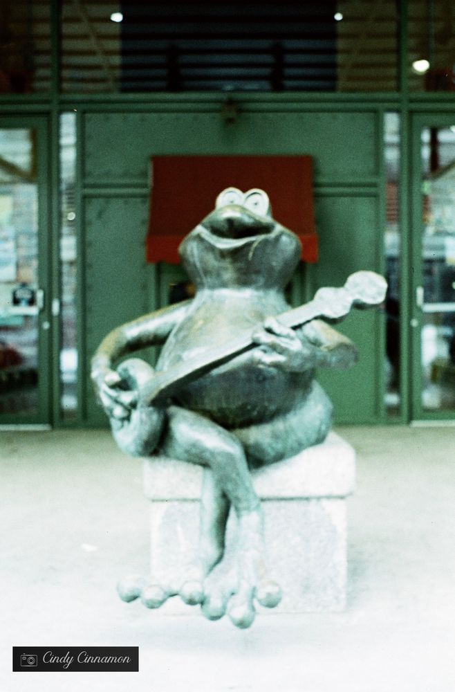 Magasin Benjo au Centre-Ville de Québec. Malheureusement fermé depuis le 31 janvier 2025. Photographie par Cindy Cinnamon 