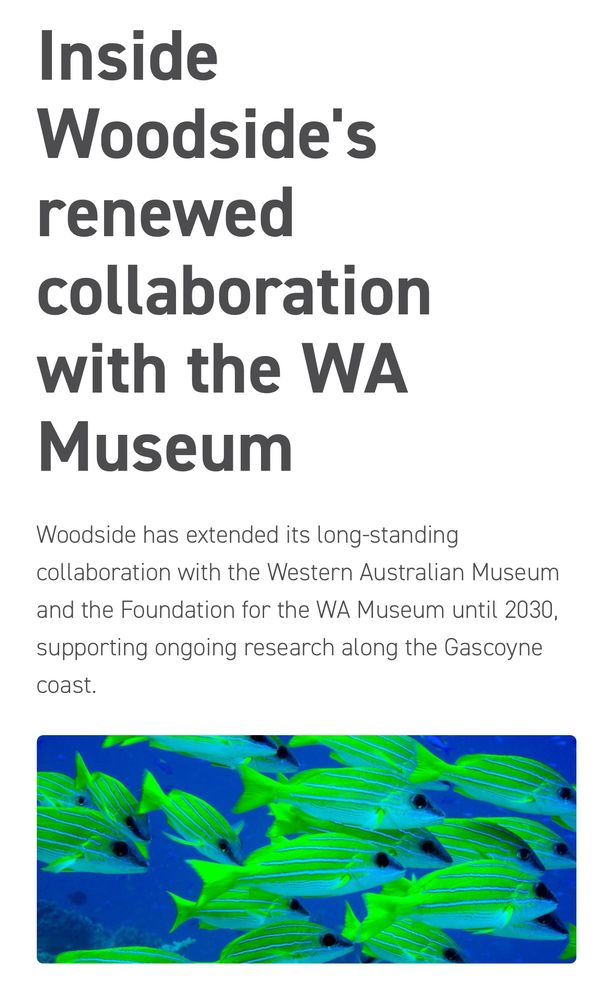 WA museum website screenshot - Woodside renews partnership with WA Museum