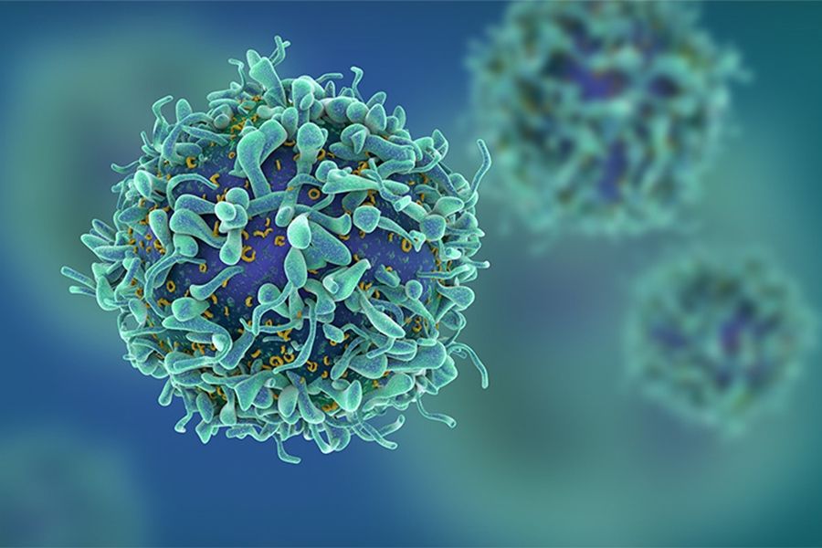 Opening doors to targeted treatments

Researchers at UHN's Princess Margaret Cancer Centre have identified a new classification of T-cell acute lymphoblastic leukemia (T-ALL), an aggressive form of bone marrow and blood cancer.

https://www.uhn.ca/corporate/news/pages/opening-doors-to-targeted-treatments.aspx