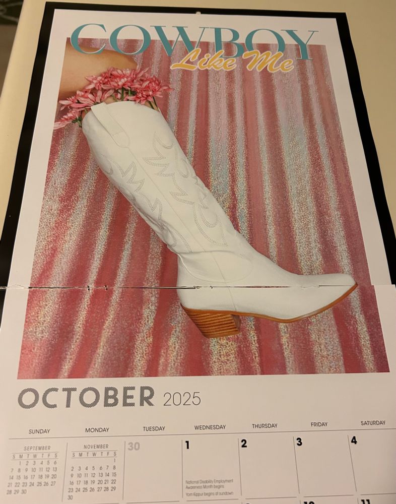 Picture of a white cowboy boot with pink flowers stuffed in the top in front of a shimmery pink background with the words “ Cowboy Like Me.”