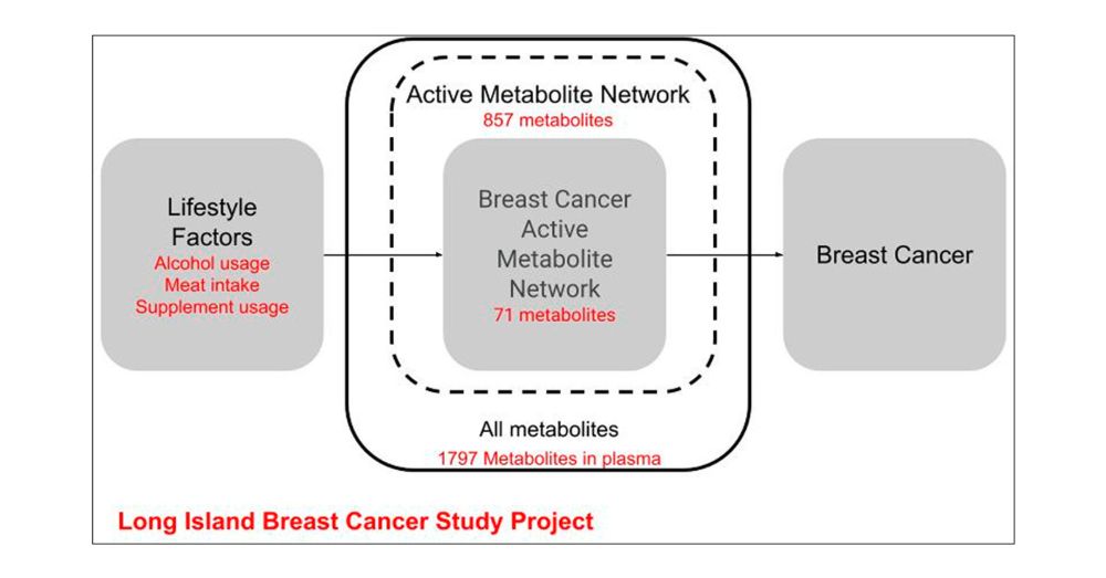 Active Molecular Network Discovery Links Lifestyle Variables to Breast Cancer in the Long Island Breast Cancer Study Project