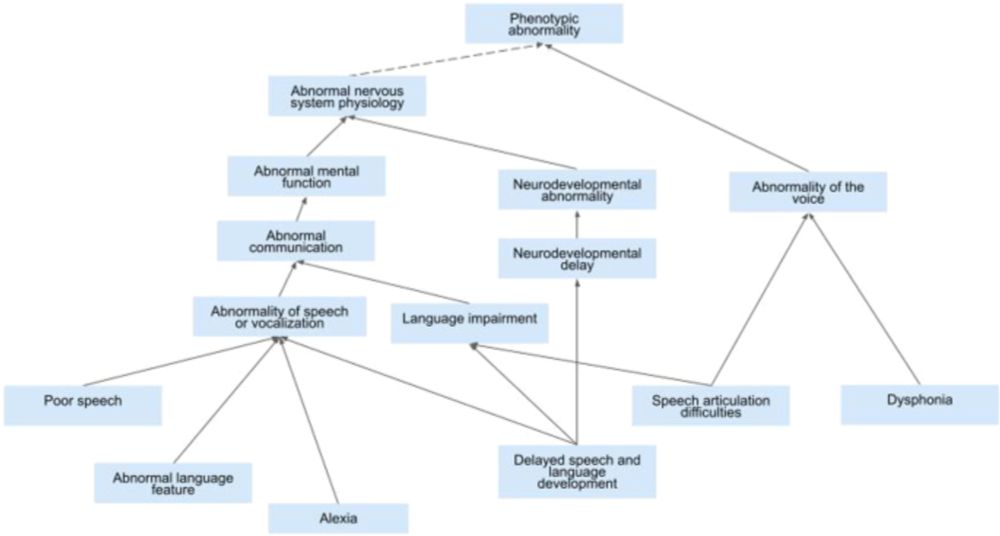 Speech and language classification in the human phenotype ontology - European Journal of Human Genetics