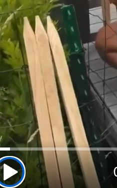 A clip from the video of a dude failing to use a hammer showing that, in the unlikely event that he succeeds in nailing the current stake to the gate, he's got three more to go; he'll be lucky to finish before nightfall at this rate.