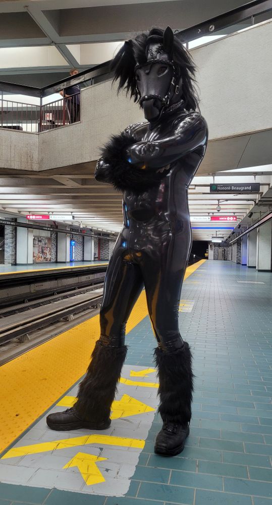 A rubbery horse stand patiently at a metro station for the next train to arrive