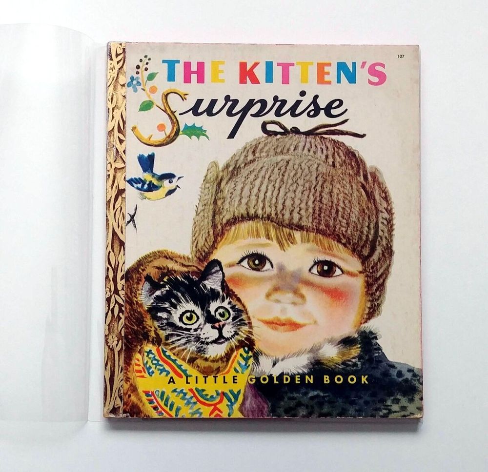 Rojan's illustrated book