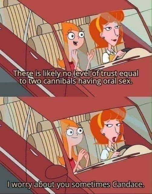 Candace and her mom from Phineas and Ferb are sitting in a car. Candace says, "There is likely no level of trust equal to two cannibals having oral sex." In the second panel, mom replies, "I worry about you sometimes Candace."