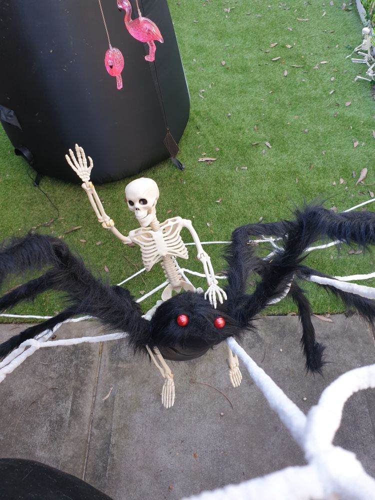 A skeleton going full cowboy on a big fuzzy spider.