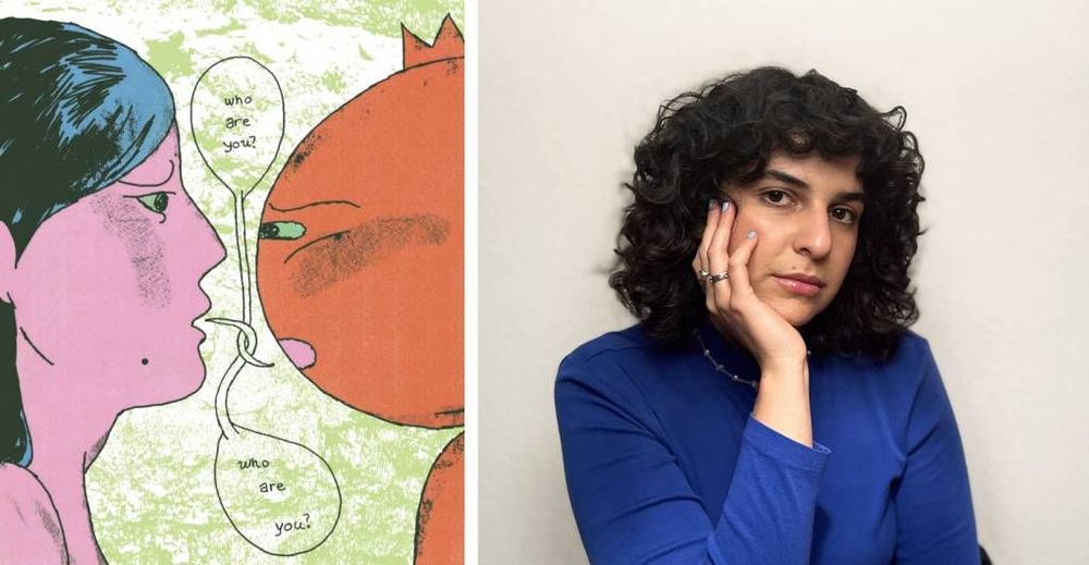 A Pomegranate Goes on a Cosmic Journey in Yasmeen Abedifard’s New Book | KQED