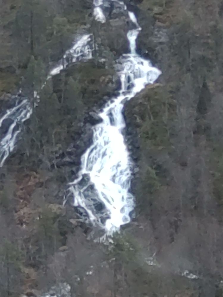 Mjølfjell 
