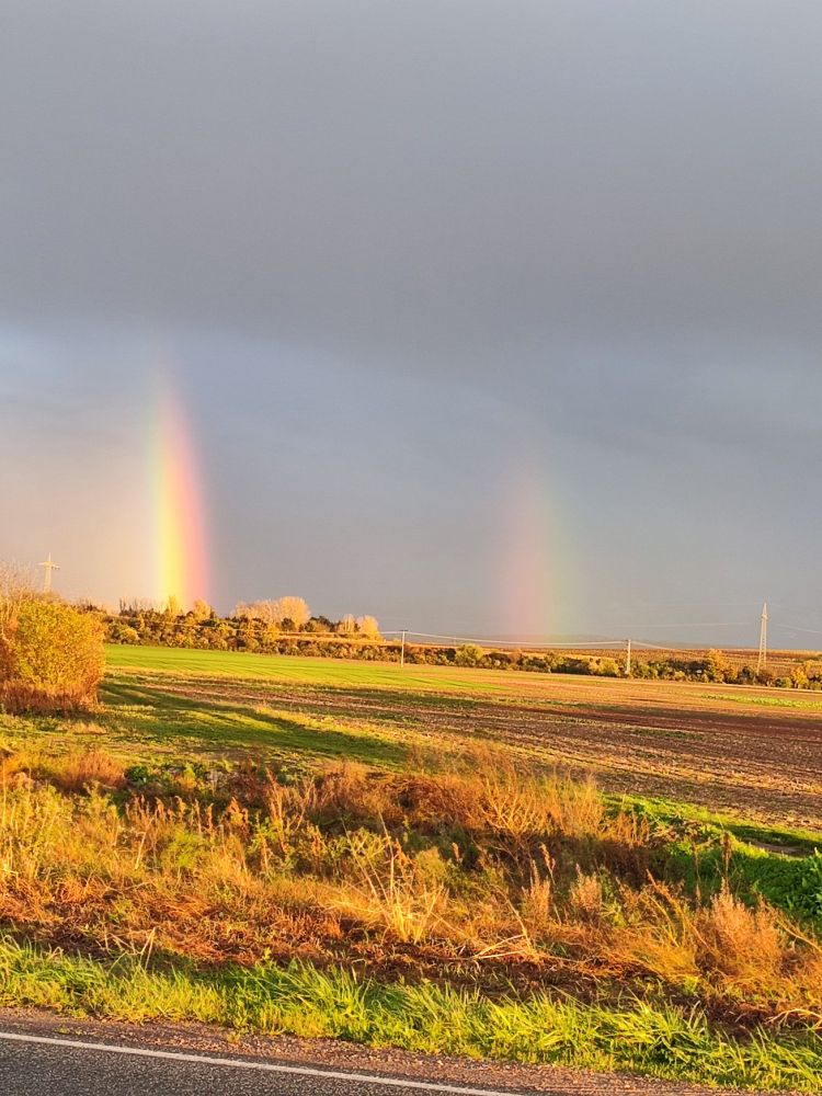 Regenbogen