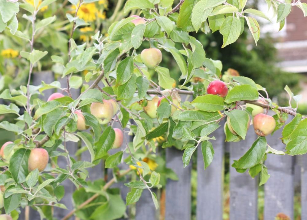 Autumn Equinox Greetings