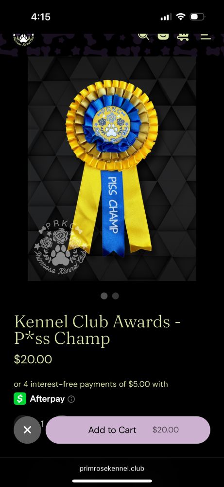A dog show style award. It’s yellow and blue with white text that says “PISS CHAMP”