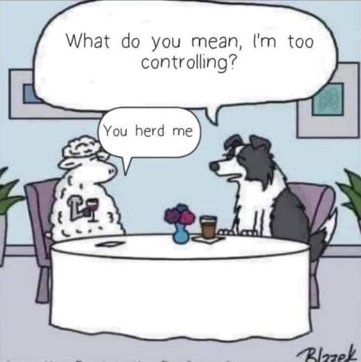 Comment image
