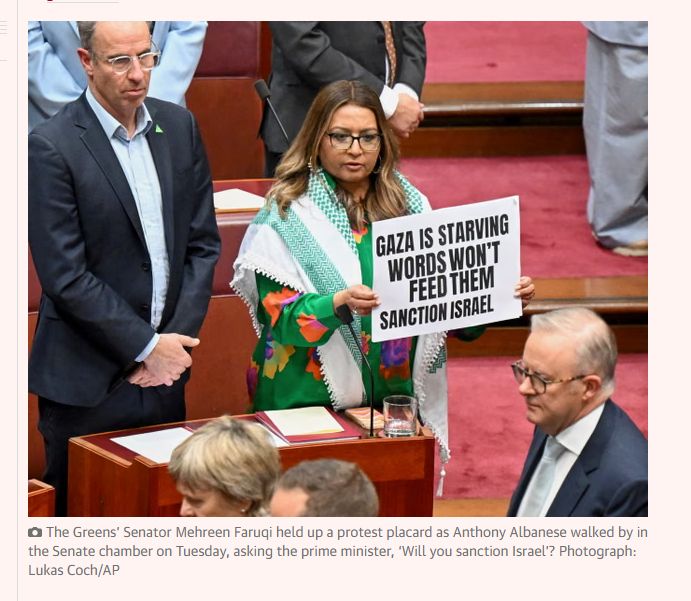 The Greens’ Senator Mehreen Faruqi held up a protest placard as Anthony Albanese walked by in the Senate chamber on Tuesday, asking the prime minister, ‘Will you sanction Israel’? Photograph: Lukas Coch/AP