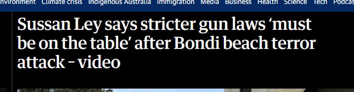 Sussan Ley says stricter gun laws ‘must be on the table’ after Bondi beach terror attack – video
