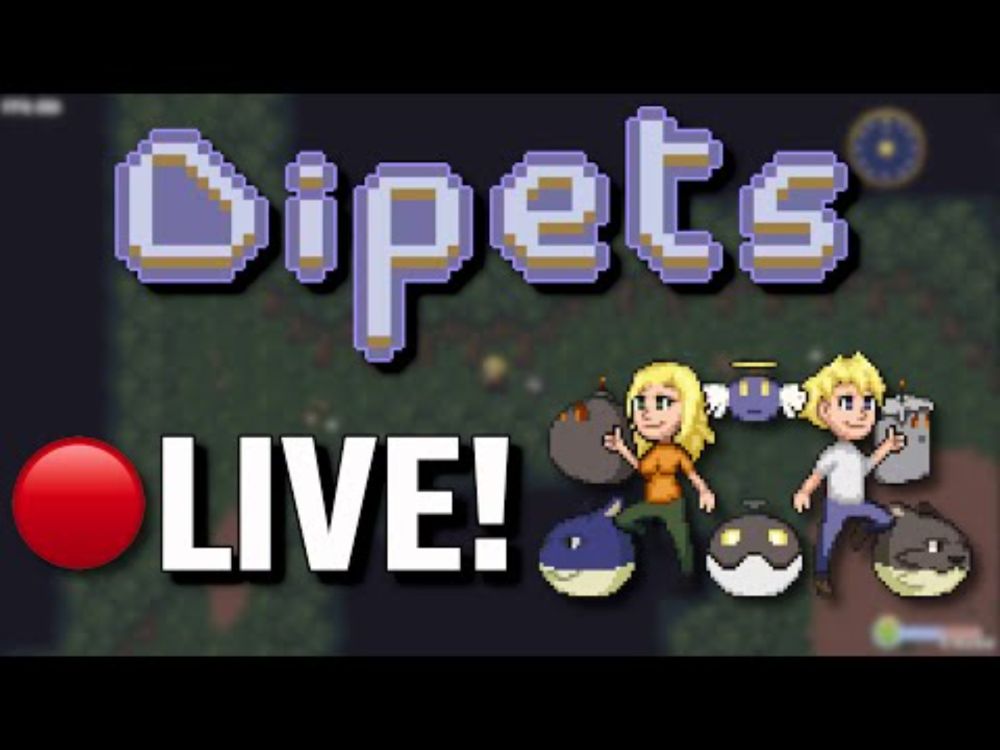 Revisiting Dipets