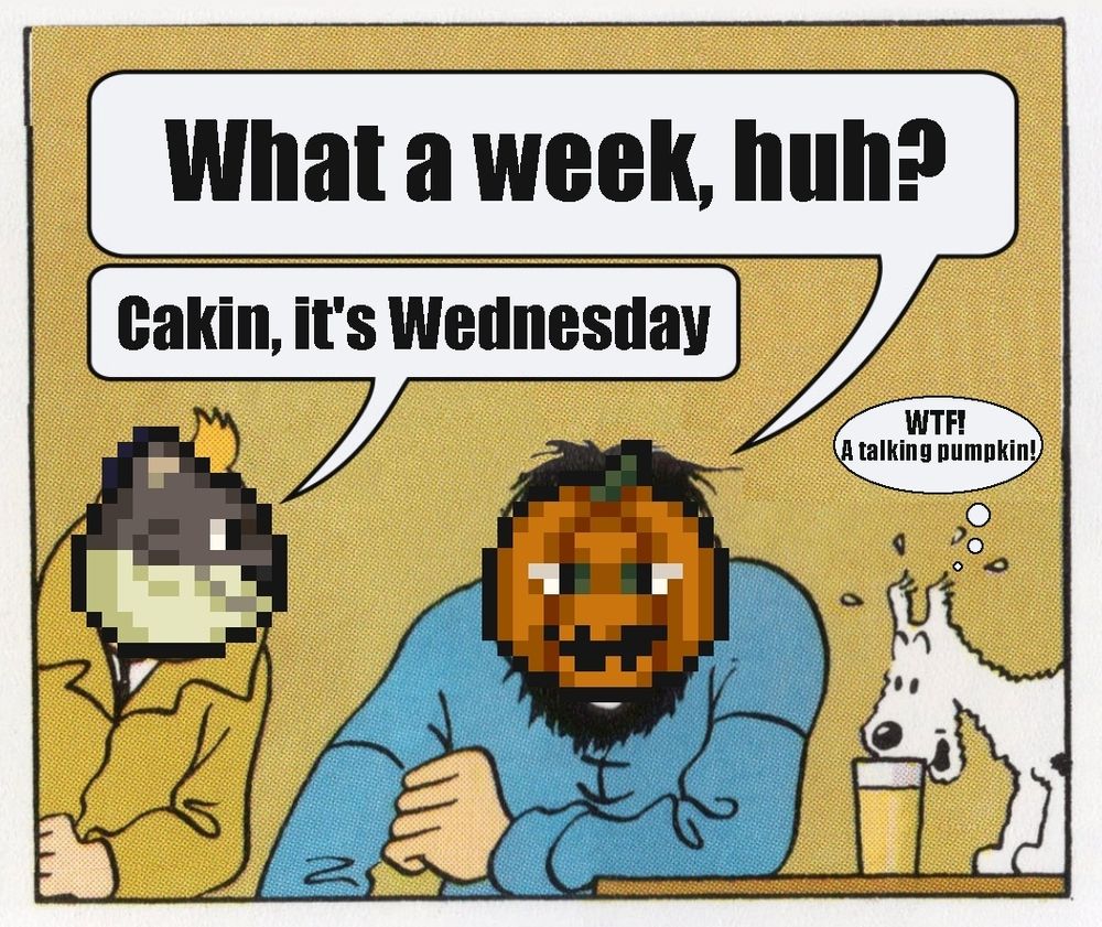 Meme of Tintin and Haddock with the last one saying what a week but it's actually wednesday. They show Dipets faces instead of their own one.