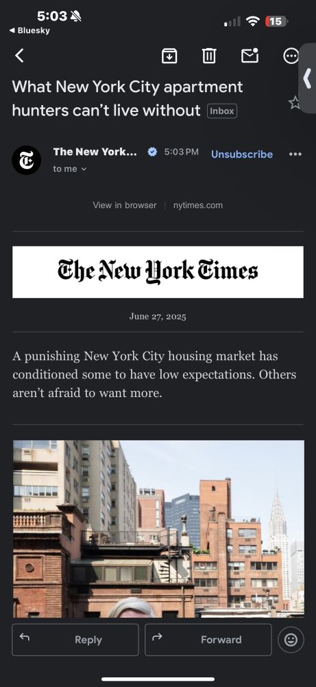A New York Times headline saying “A Punishing New York housing market has conditioned some to have low expectations. Others aren’t afraid to want more.”