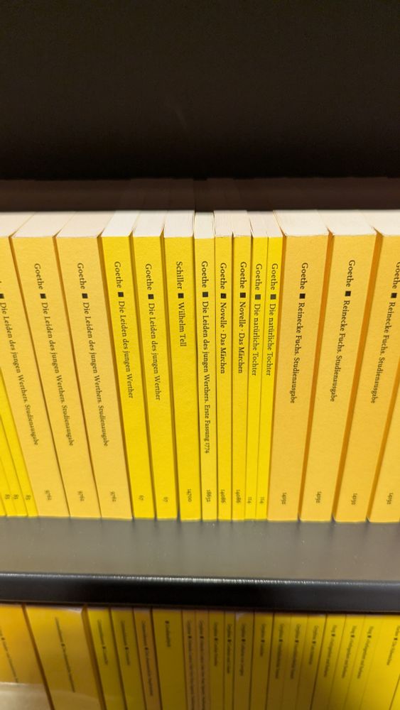 Eine Reihe gelber Taschenbücher steht ordentlich in einem Regal. Auf den Buchrücken sind die Namen klassischer deutscher Autoren wie Goethe und Schiller zu lesen. Mehrere Ausgaben tragen Titel wie „Die Leiden des jungen Werther“, „Novelle“, „Die natürliche Tochter“ und „Reineke Fuchs“. Alle Bücher haben ein einheitliches gelbes Design mit schwarzer Schrift, typisch für die Reclam-Ausgaben.

