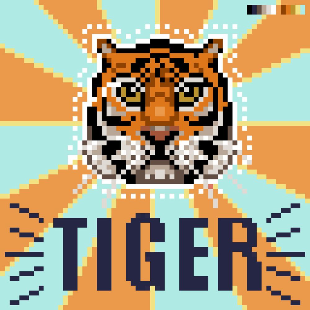 A 64 x 64 pixel art depiction of a tiger head is centered above the word TIGER, with a sunburst pattern in the background.