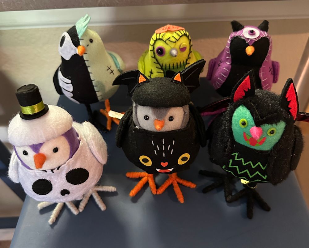 The other 6 birds up close 