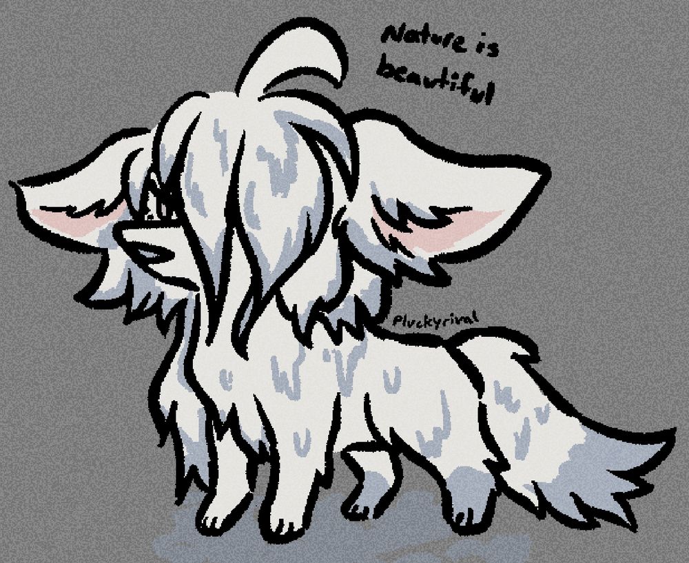 sopping wet fennec fox miorine. her bangs cover most of her face, leaving only a bit of one eye showing. she does not look very pleased. “nature is beautiful” is written above her