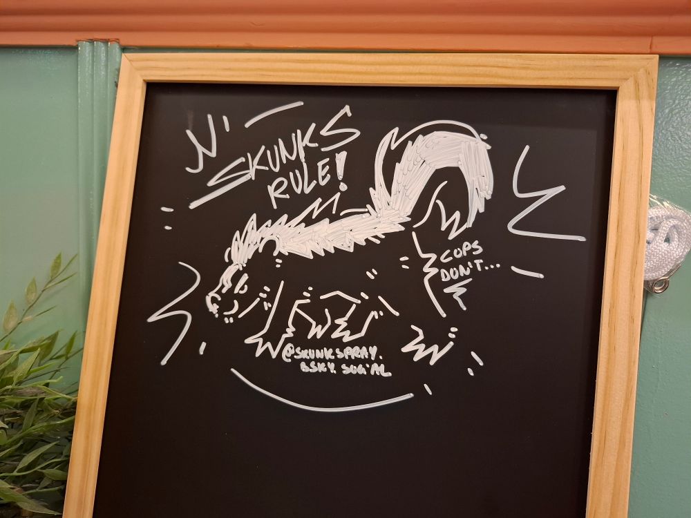 Blackoard drawing of a skunk with the caption: skunks rule! Cops don't...