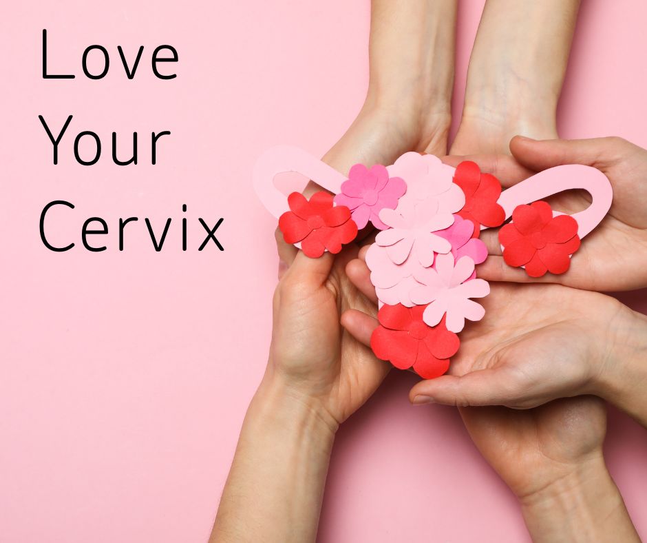 Image shows a cut of of a cervix with hands and text reads: Love your cervix