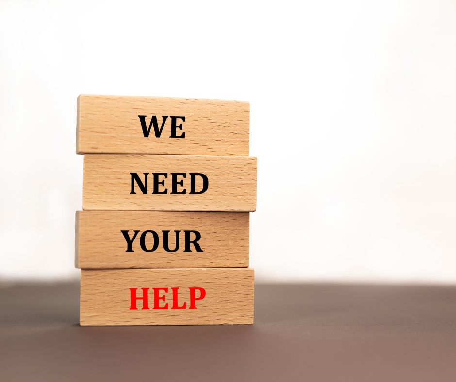 Image shows wooden blocks with text that reads: 'have your say'