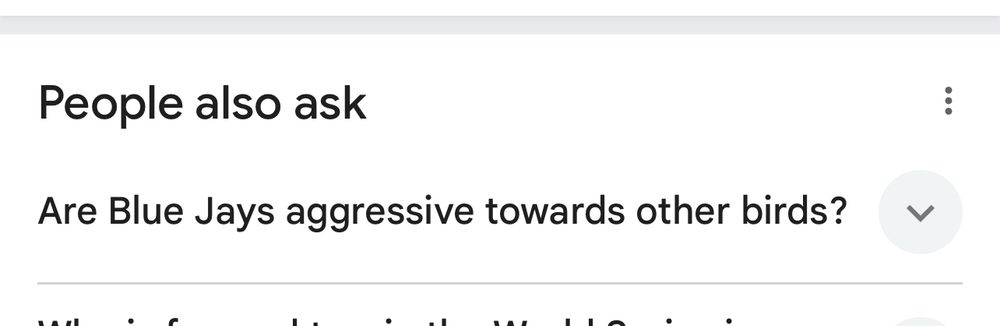 Google “people also ask” results says “are blue jays aggressive towards other birds?”