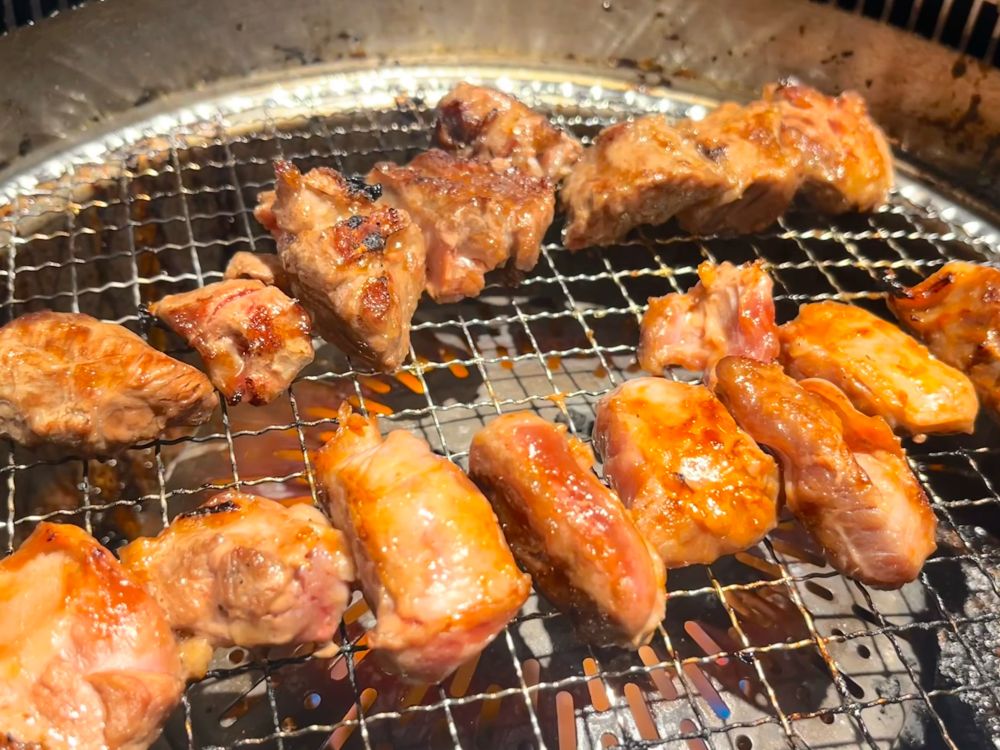 網の上に横一列で、一口大の角切り肉を並べてある様子。手前に角切りハラミ、奥に中落ちカルビが平行に2種並べられている。
薄茶色く焼き目がついていて、醤油・砂糖を含んだタレがカラメル色に近づけている。

角切りハラミはかみごたえがあり肉肉しい、同じ厚みの肉肉しさでも均等な脂身の中落ちカルビは噛み切り安く食べやすい。