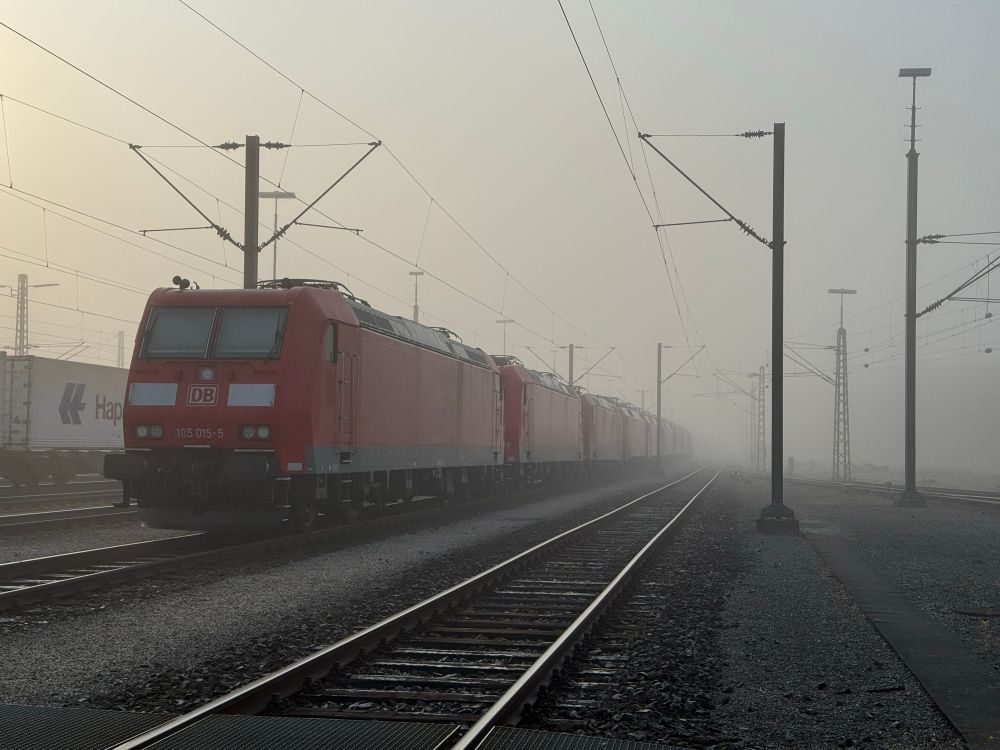 eine reihe elektroloks steht abgestellt in einem bahnhof das wetter ist grau und nebelig 