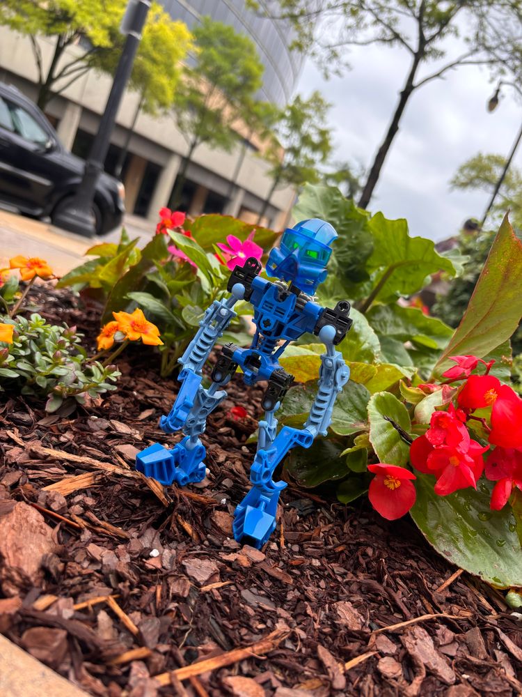 Local Tgirl is exploring Bham on a nice Mayday