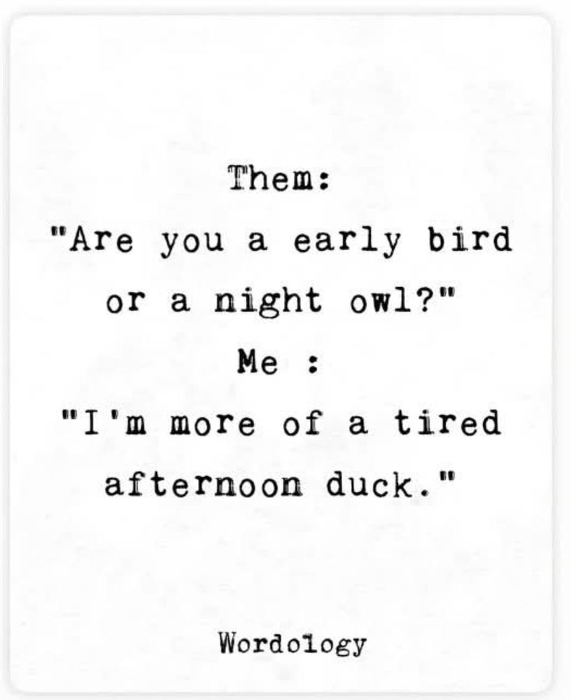 Them: "Are you a early bird or a night owl?"
Me: "I'm more of a tired afternoon duck."
