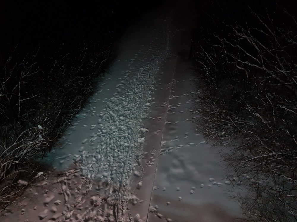 A photo taken in the dark of a riverbank shows a variety of animal tracks in the snow. Some appear to be deer, coyote, and others appear unidentifiable due to conditions.