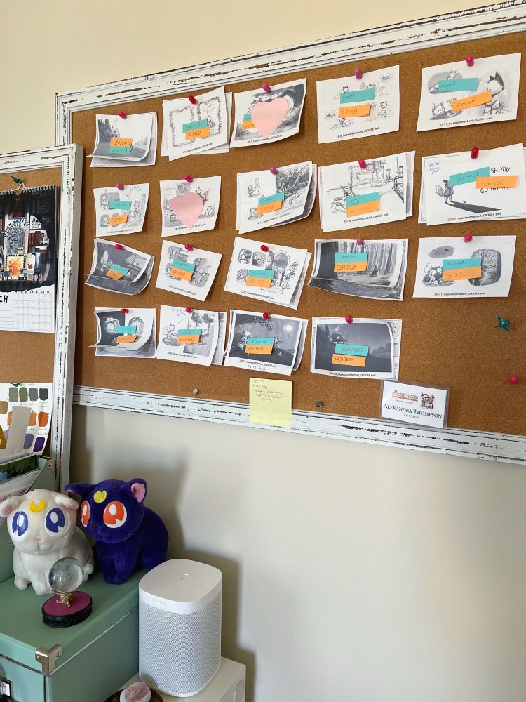 Photo of a corkboard with sketch thumbnails pinned to wall for the picturebook Hazel & Herbert by Alexandra Thompson. 