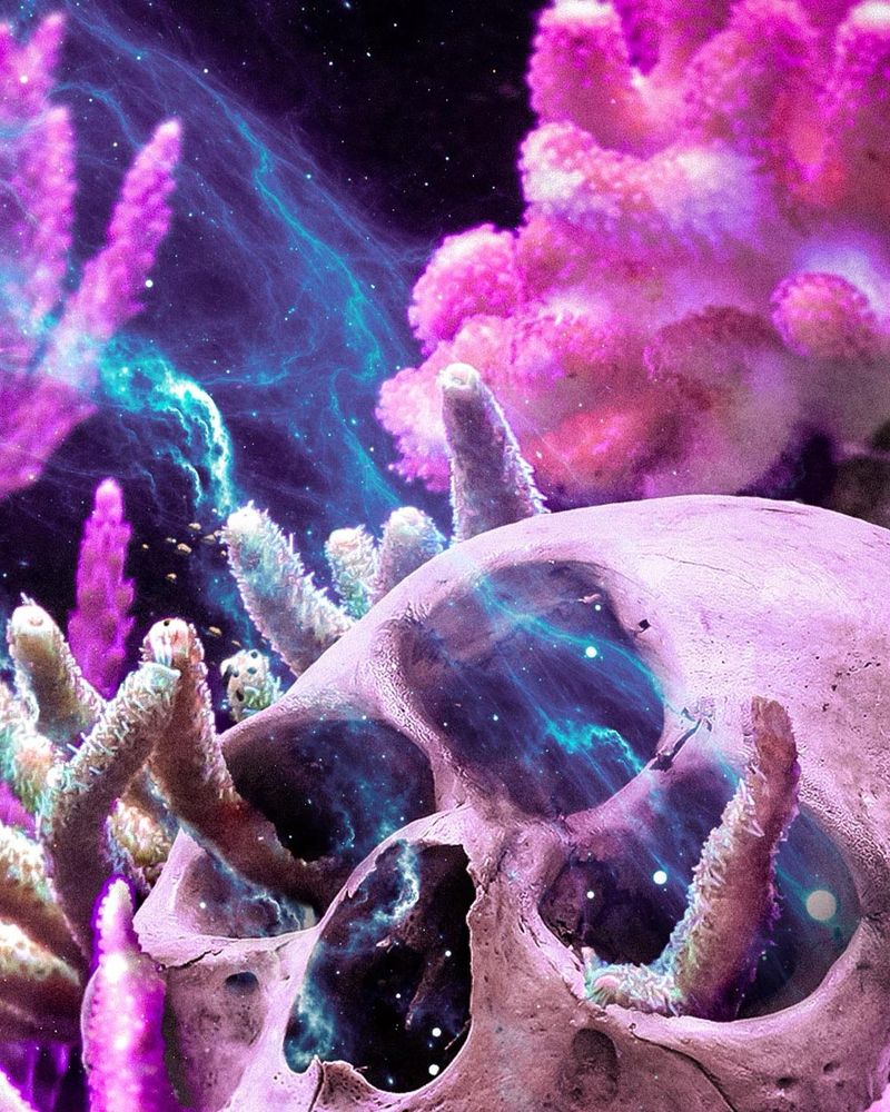 3 eyed Skull in a bed of corals - detail shot