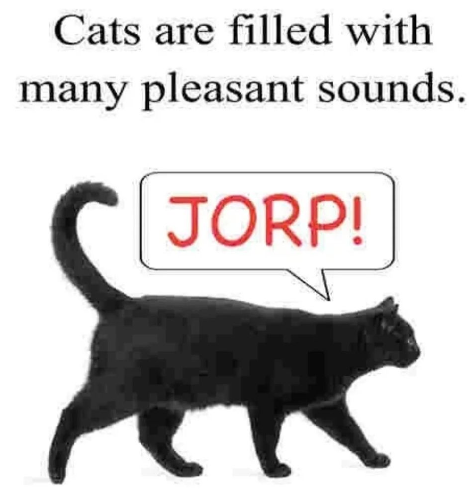 cats are filled with many pleasant sounds.
black cat saying "JORP!"