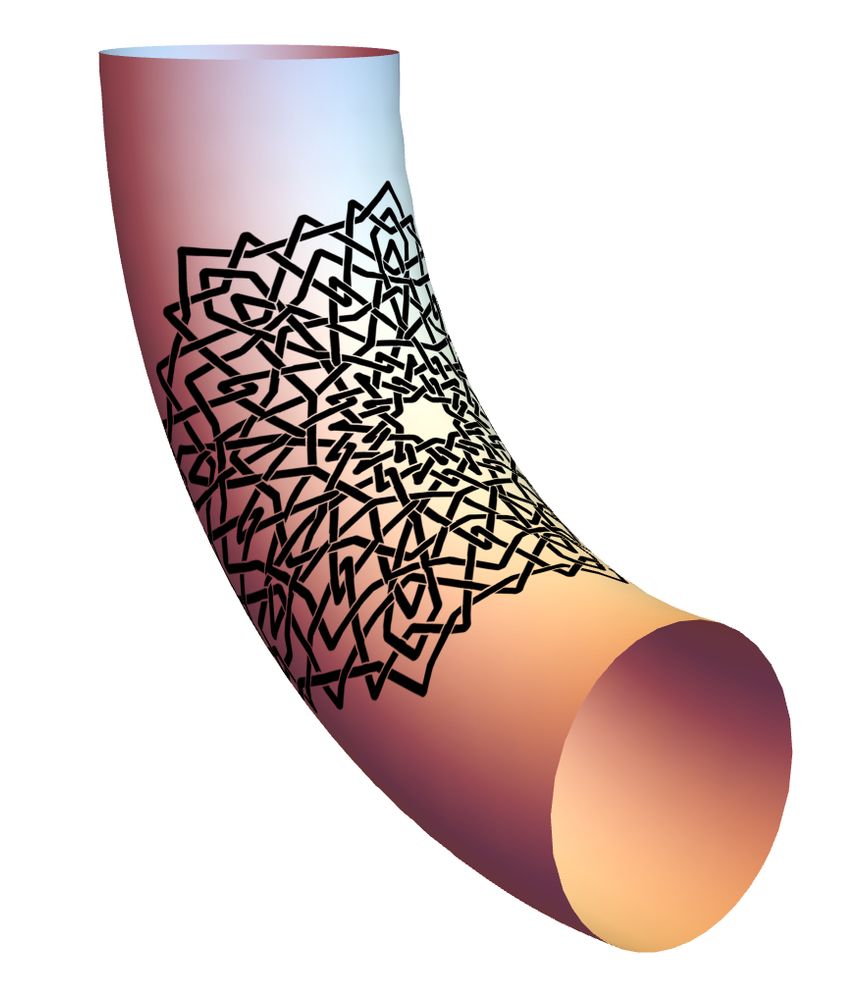 interlace drawing on a torus chunk.