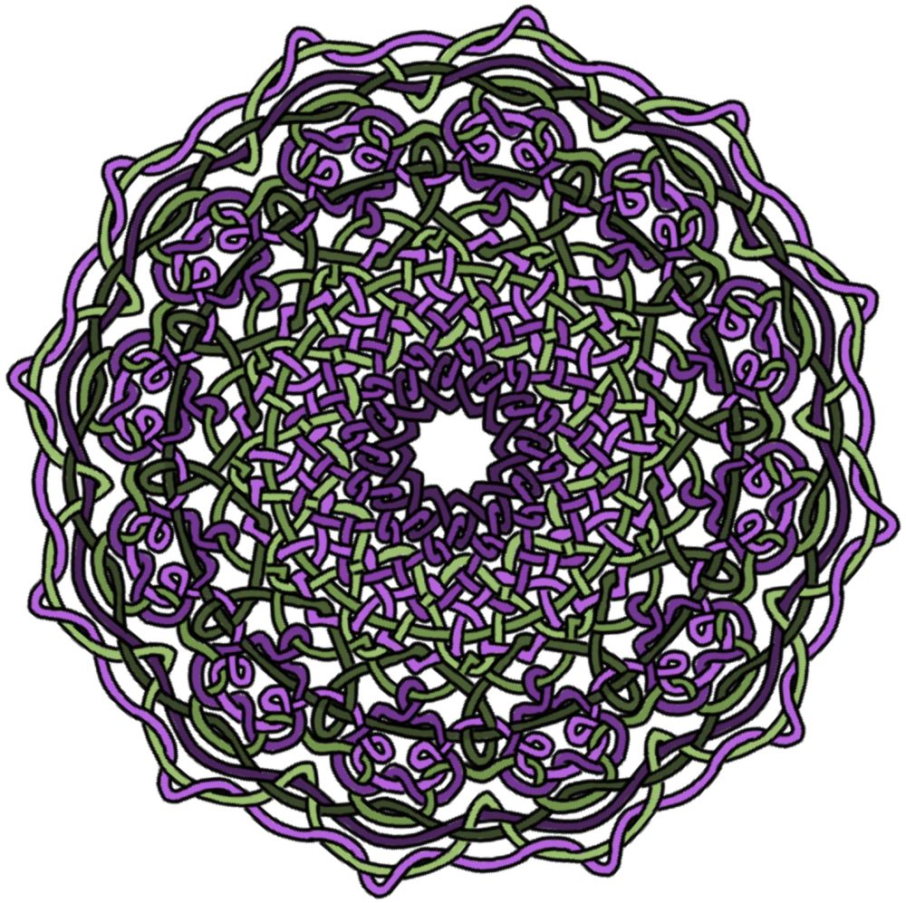intertwined purple and green ribbons, in a complicated rosette with 12-fold symmetry. white background.