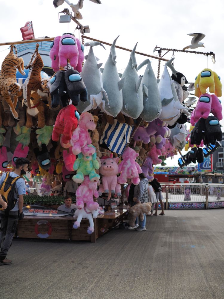 Photo titled 'LuckyPig' C2021. Sachphotos©. 
Camera OMD E-m1.  