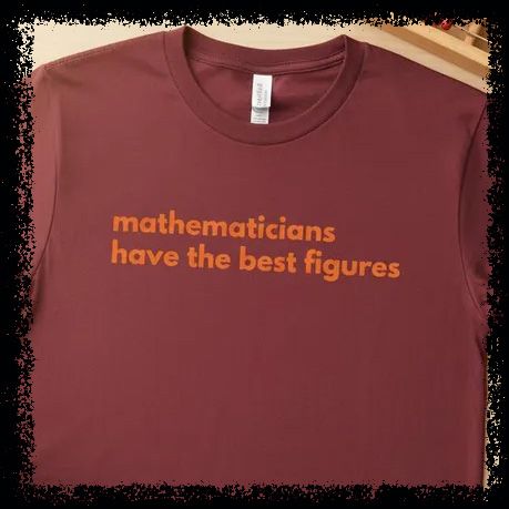 a shirt which says "mathematicians have the best figures"