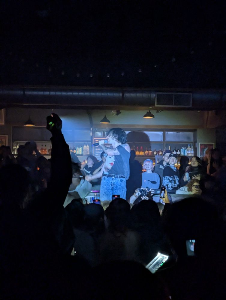 Matt from machine girl singing 'Schizodipshit' in the middle of the crowd, illuminated by a spotlight